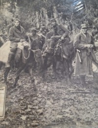 Image of Partisan dan gerilyawan