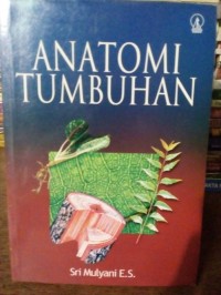 Image of Anatomi tumbuhan