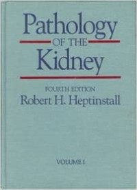 Image of Pathology of the kidney: third edition volume III