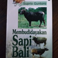 Image of Membudidayakan sapi bali