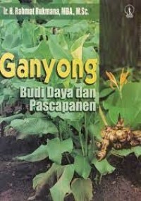 Image of Ganyong: Budi daya pascapanen