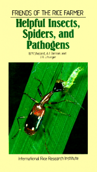 Image of Friends of the rice farmer: Helpful insects spiders, and pathogens