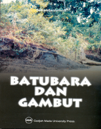 Image of Batubara dan gambut