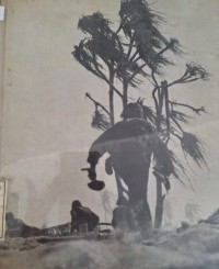 Image of Pertempuran di pulau