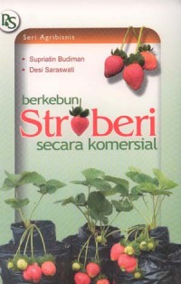 Image of Berkebun stroberi secara komersial