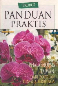 Image of Phalaenopsis Taiwan : dari botolan hingga berbunga