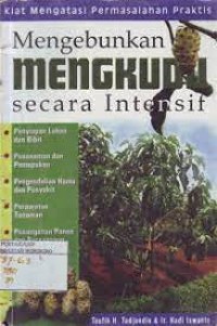 Image of Mengebunkan mengkudu secara intensif