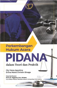 Image of Perkembangan hukum acara pidana : dalam teori dan praktik