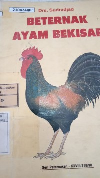 Image of Beternak ayam bekisar