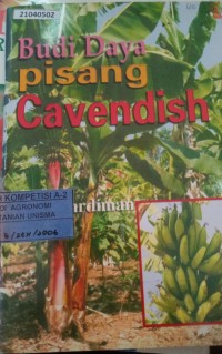 Image of Budidaya pisang cavendish