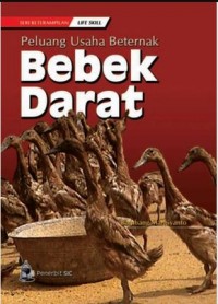 Image of Peluang usaha beternak bebek darat