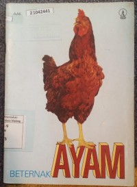Image of Beternak ayam