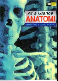 Image of At a glance anatomi