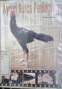 Image of Ayam buras pedaging