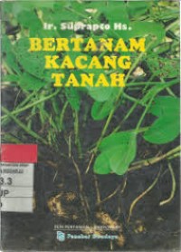 Image of Bertaman kacang tanah