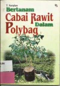 Image of Bertanam cabai rawit dalam polybag