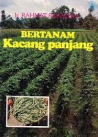 Image of Bertanam kacang panjang