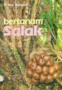 Image of Bertanam salak