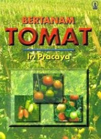 Image of Bertanam tomat