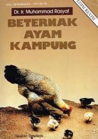 Image of Beternak ayam kampung