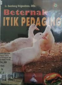 Image of Beternak itik pedaging