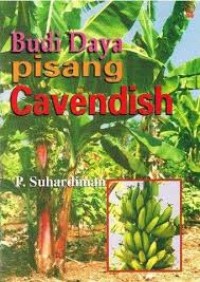 Image of Budi daya pisang cavendish