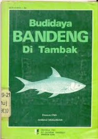 Image of Budidaya bandeng di tambak