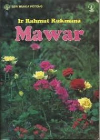 Image of Mawar