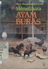 Image of Memelihara ayam buras