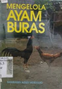 Image of Mengelola ayam buras