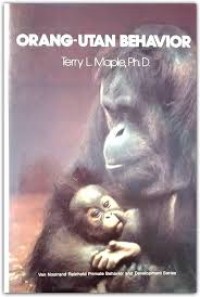 Image of Orang-utan behavior