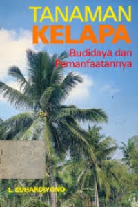 Image of Tanaman kelapa