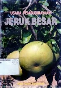 Image of Usaha pembudidayaan jeruk besar