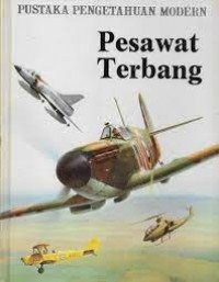 Image of Pesawat terbang