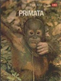 Image of Primata