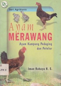 Image of Ayam merawang: ayam kampung pedaging dan petelur